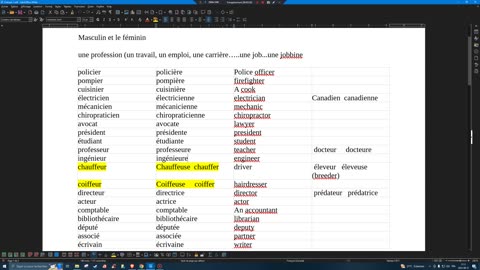 French 4: professions, emotions and qualities (masculine and feminine construction)