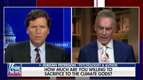 Jordan Peterson: This is an appalling situation and it will get worse