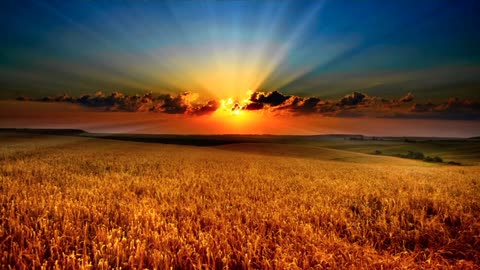 Wheat Field Sunset Corn Sky Clouds Sunray