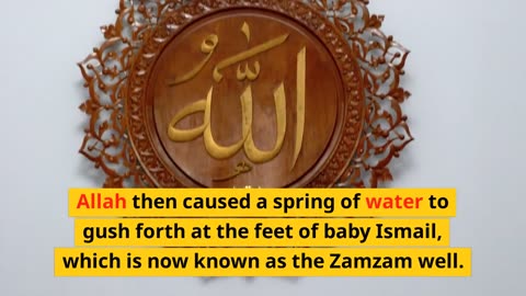 Zamzam water benifits