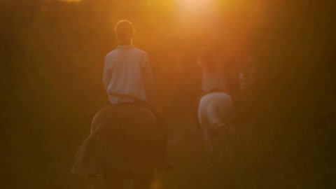 Rear view of young women rides on horseback towards the forest at sunset