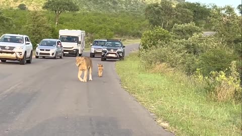 Kruger National Park