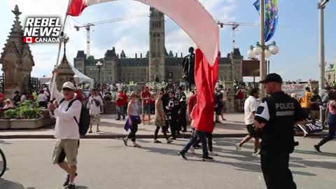 Ottawa Police fined a peaceful protester $1,130 for writing “FREE TAMARA LICH” in chalk!