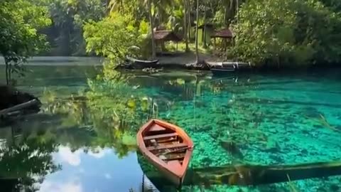 Danau Paisu Pok | Indonesia 🇮🇩