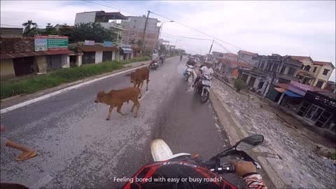 Motorbike Tours For Novice Rider On Dirt Bikes In Vietnam - www.vietnamoffroad.com