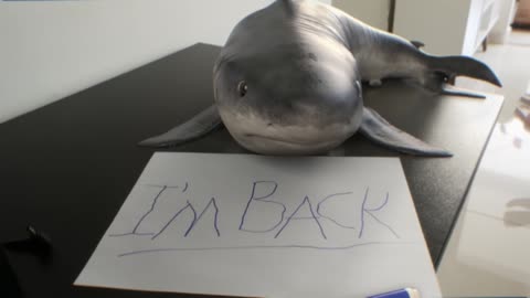 The Baby Shark is coming back! (O Tubarão Bebê está voltando ao canal :)