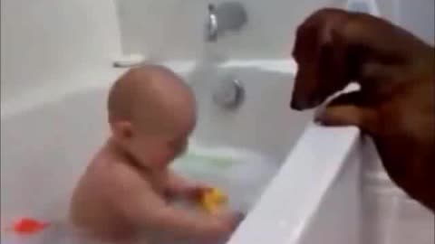 mirror expression of baby dog..And enjoing with cute shower baby boy###