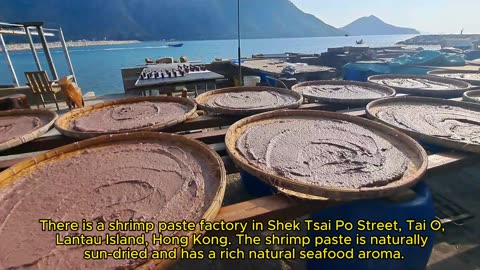 大澳生晒蝦醬 Tai O raw sun-dried shrimp paste