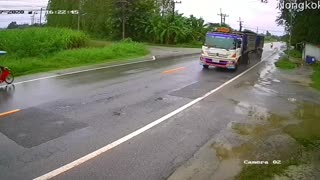 Large Tree Falls Across Road