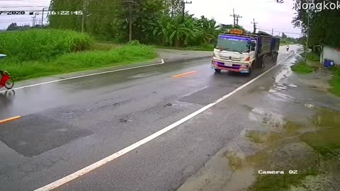 Large Tree Falls Across Road