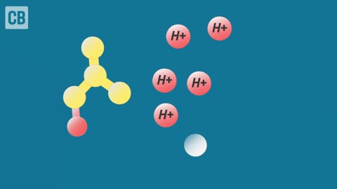 Ocean Acidification