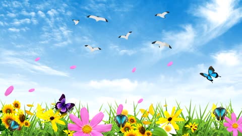 NATURE BACKGROUND CARTOON ! ANIMATED BUTTERFLIES BACKGROUND CARTOON !!!!