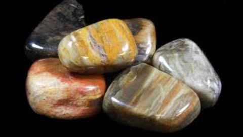 Petrified Wood