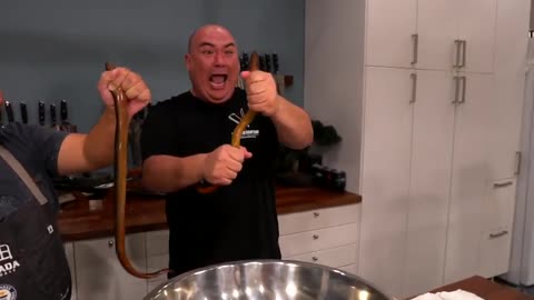 How to clean LIVE eel and cook