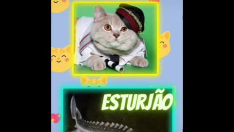 Gato Policial (Policial Cat)