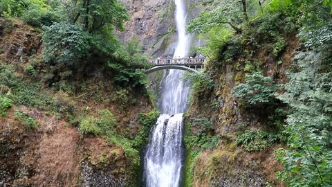 077. All The Fun Of A River Cruise In The Pacific Northwest