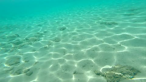 Swimming Underwater Slow Motion POV