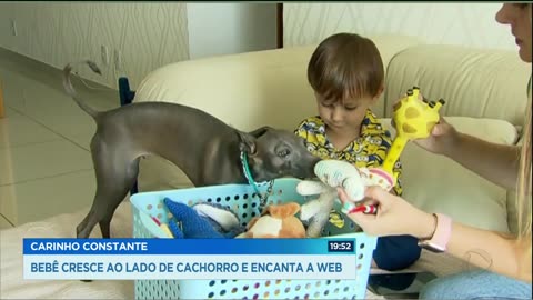 CARINHO CONSTANTE: BEBÊ CRESCE AO LADO DE CACHORRO E ENCANTA A WEB