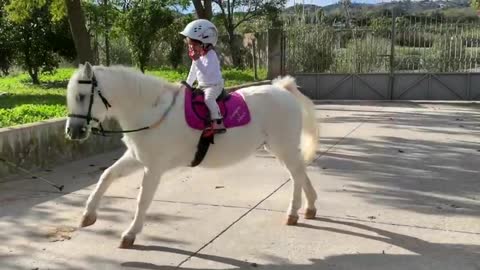 The cutest little toddler horse rider and her pony