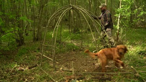 Building a Survival Shelter in a Forest - Camp food from natural herbs(720P_HD)