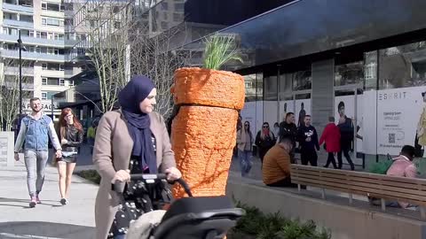 Very Funny Carrot Prank Videos