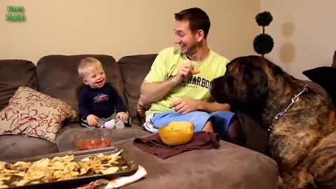 babies playing with their dogs.