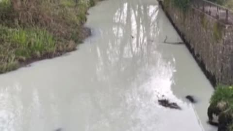 River in Wales That Filled With“Pure Milk ”