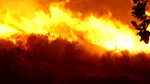 Firefighters battle roaring wildfires in France