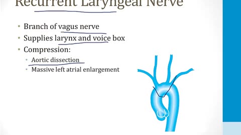 Cardiology - 9. Other Cardiovascular Topics - 4.Aortic Dissection