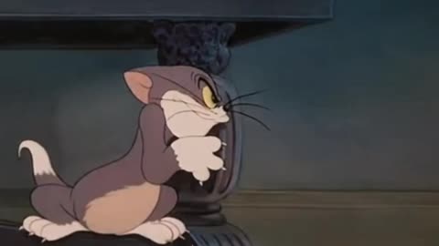 Tom And Jerry Funny Small Clip Videos (AKMUSICC)