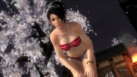 Dead or Alive5 Last Round Battle941