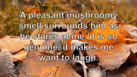 A pleasant mushroomy smell surrounds him as he stares at me. it is so genuine, it makes me want...