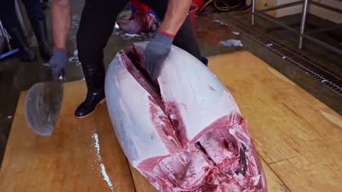 World's Sharpest Tuna Knife！Amazing Giant bluefin tuna cutting Master / 驚人的！巨大黑鮪魚切割技巧, 香煎黑鮪魚大腹