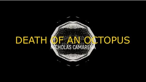 Music: "Death of an Octopus"