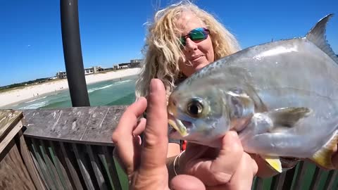 Saltwater PIER FISHING with Shrimp!