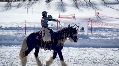 Skijoring Teton Valley [2023-02-25]