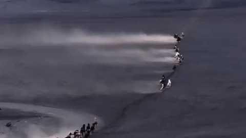 60 (means Earthly King) horses crossing the Icelandic