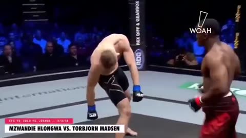 Best Knockouts in UFC History