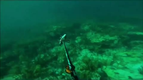 First Person Fish Hunting With GoPro