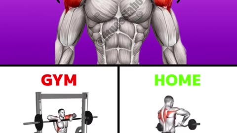 SHOULDER WORKOUT AT HOME OR GYM