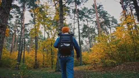 Enchanting Autumn Forests with Beautiful Piano Music