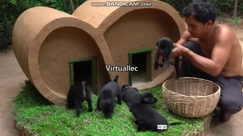 Rescue Puppies Building Mud House Dog for warm Shelter