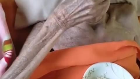 viral video of the world's oldest living person, who is 399 years old