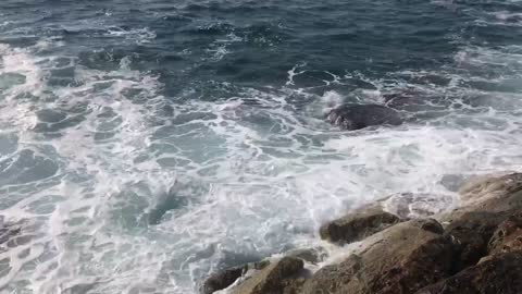 Landscape of the sea in southern Lebanon