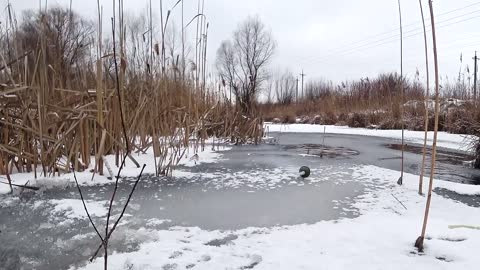 EXPERIMENT UnderWater UnderICE Ice Hole VS