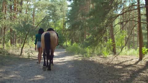 Rear view of elegant slim african american female rider in checkered shirt and shorts holding bridle