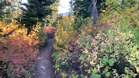 Oregon – Mount Hood – Hiking the Highland