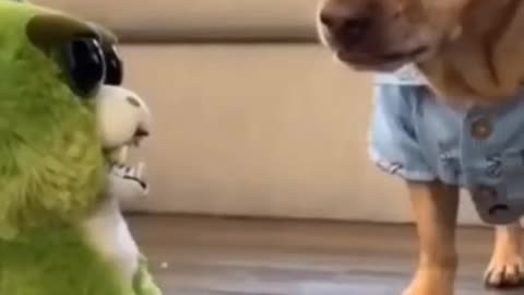 Dog funny video 🤣🤣🤣