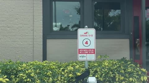 crow eating food out of chilli’s garbage can