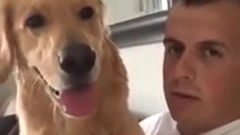 Surprised Dog Reacts to the News That He's Getting a Brother